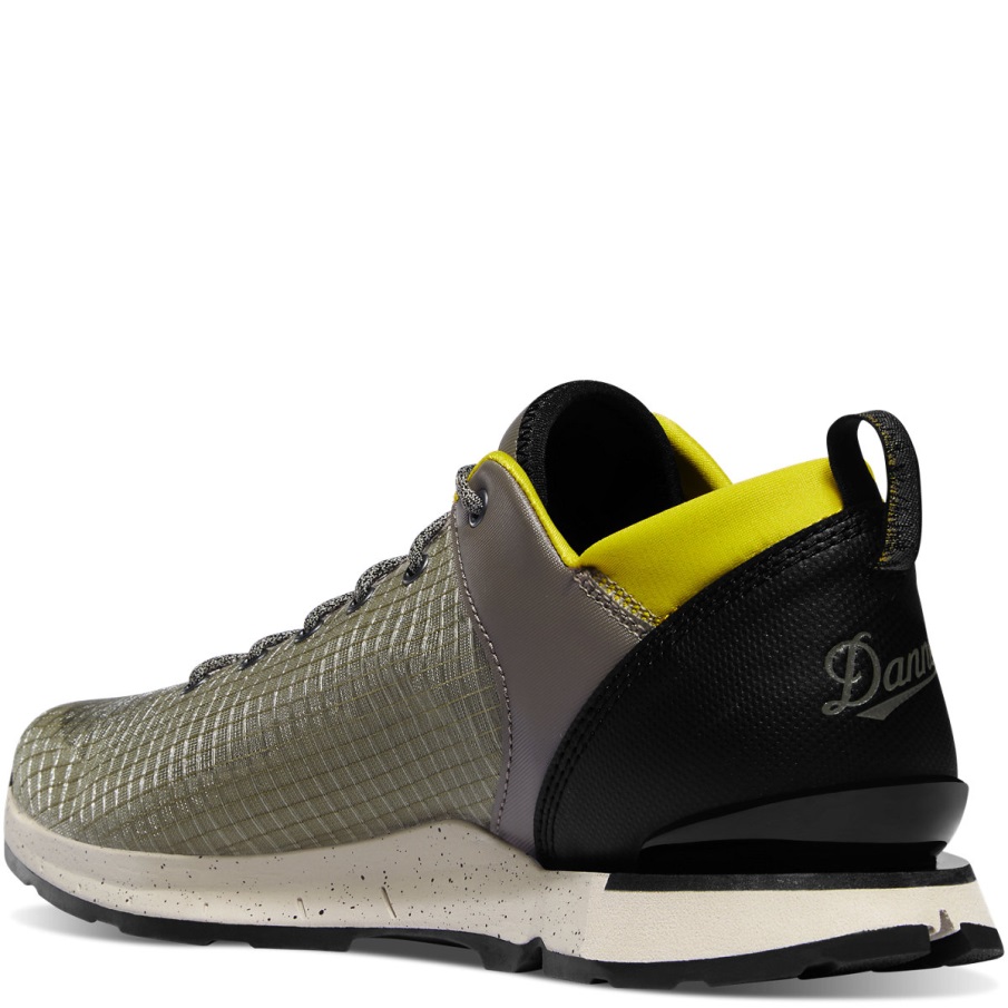 έρημος Danner παραβλέπω το ασημένιο φασκόμηλο