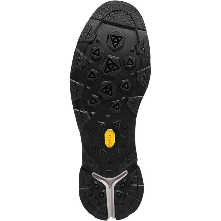 έρημος Danner παραβλέπω το ασημένιο φασκόμηλο