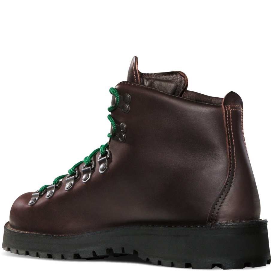 Danner Mountain Light Ii Brown-gore-tex