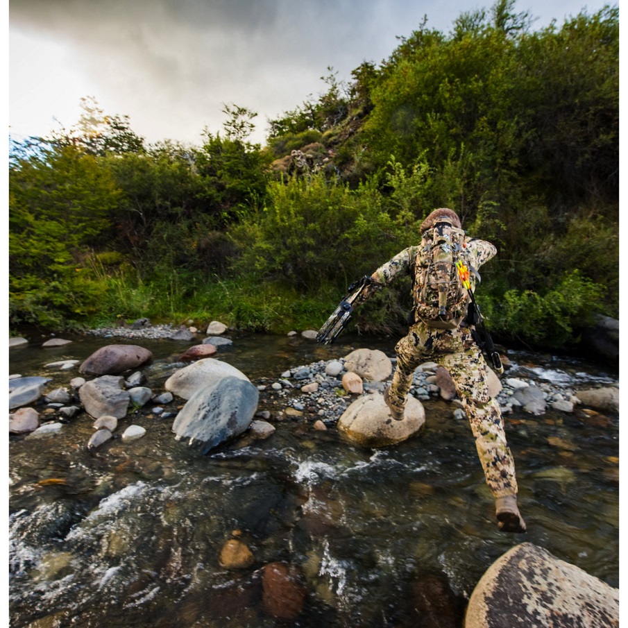 ντανέρ ζωτικό καφέ