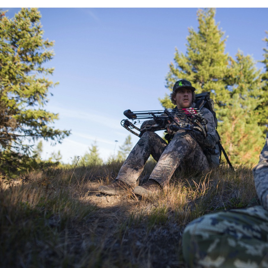 ντανέρ ζωτικό καφέ