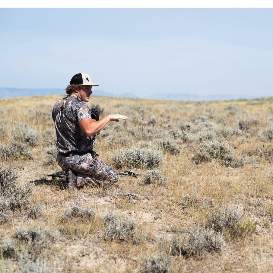 ντανέρ ζωτικό καφέ