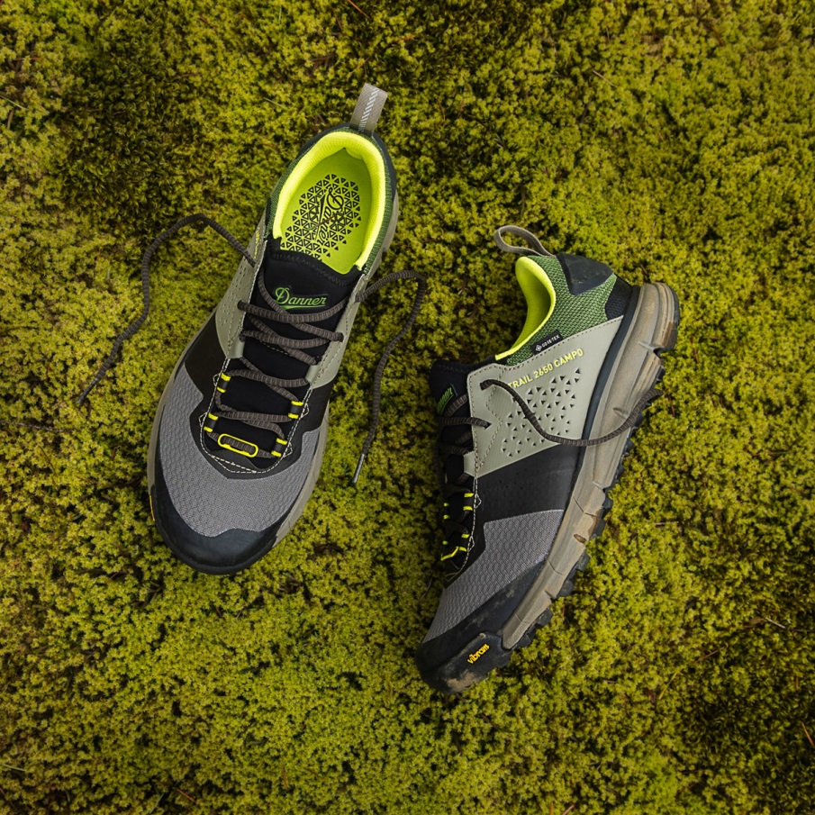 Danner γυναικείο μονοπάτι 2650 Campo Gtx καφέ/πράσινο λιβάδι