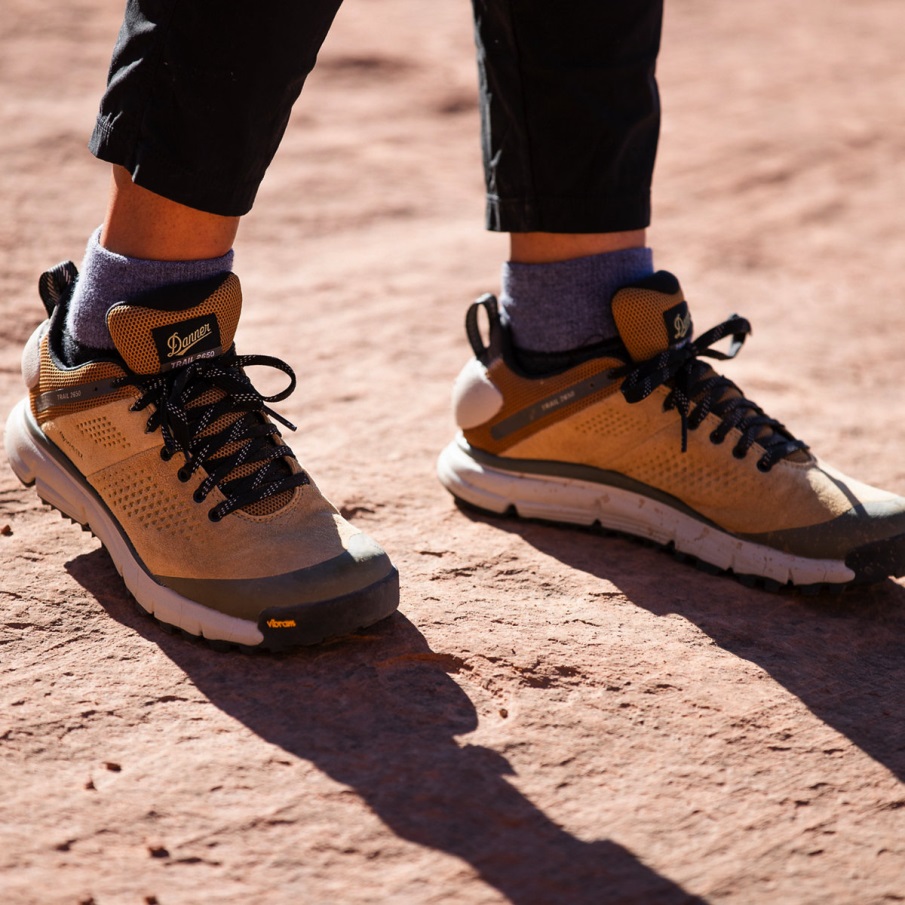 Danner γυναικείο μονοπάτι 2650 Gtx λιβάδι άμμος/γκρι