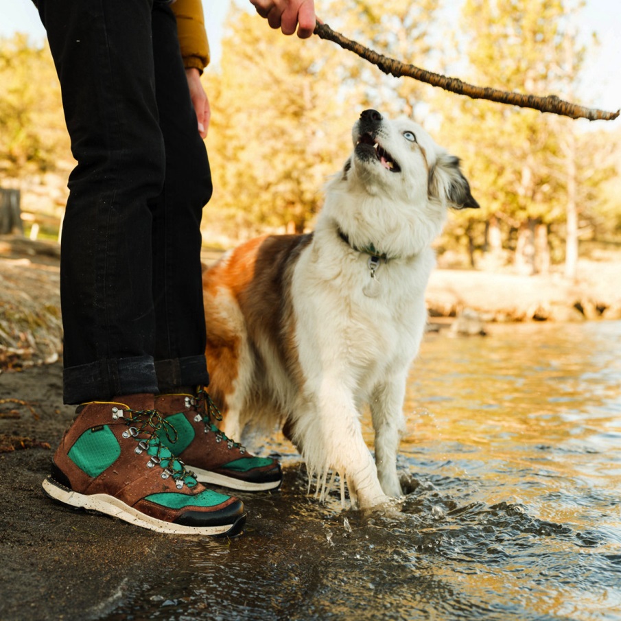 ελεύθερο πνεύμα σκοτεινή γη Danner