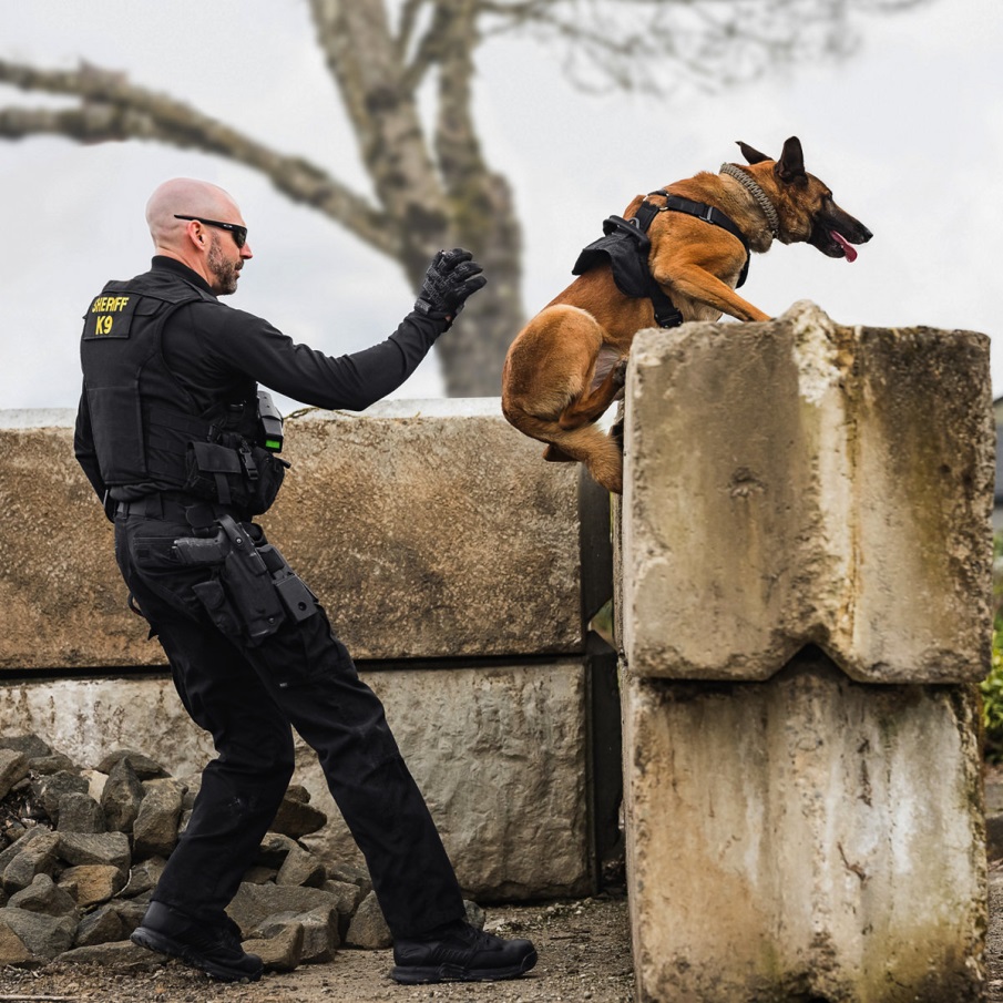 επιθετικός μπουλόνι 4,5 μαύρο Danner