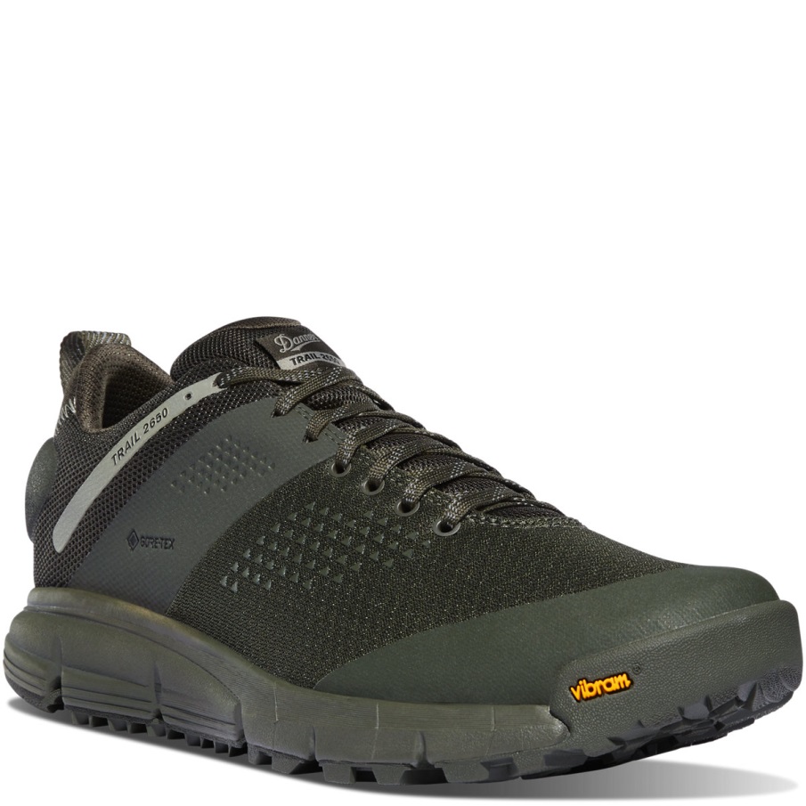 μονοπάτι 2650 Mesh Gtx Forest Night Danner