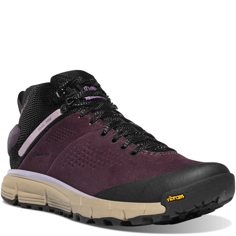 γυναικείο μονοπάτι 2650 Gtx Mid Marionberry Danner