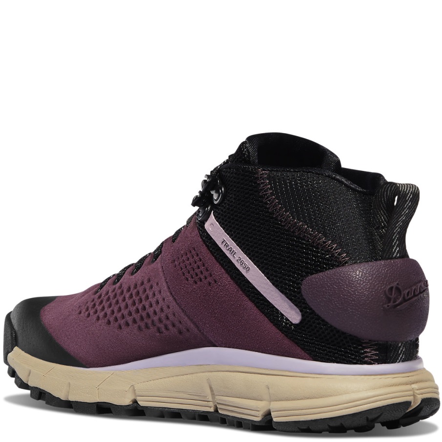 γυναικείο μονοπάτι 2650 Gtx Mid Marionberry Danner