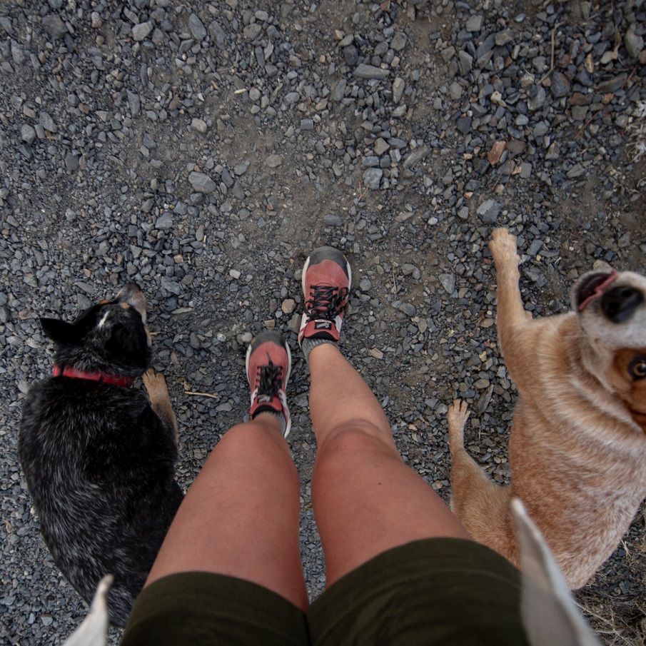 γυναικείο μονοπάτι 2650 καυτερή σάλτσα Danner